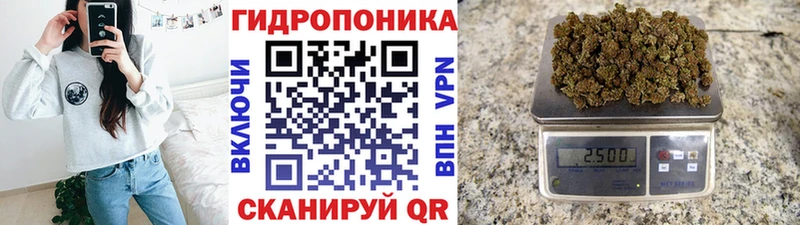 МЕГА ТОР  наркошоп  Сорск  Конопля Bruce Banner 
